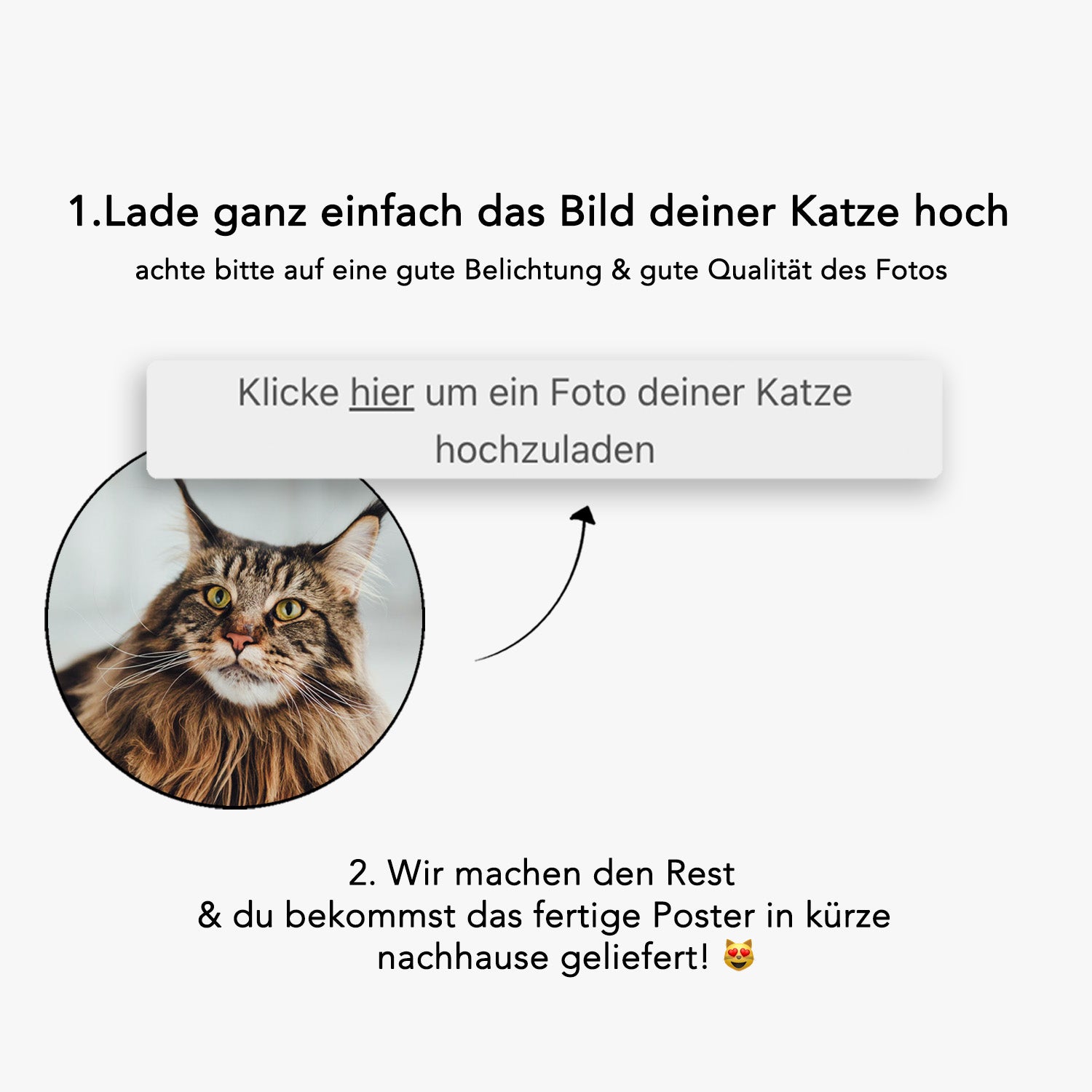 "KATZE MIT KLOPAPIER" POSTER