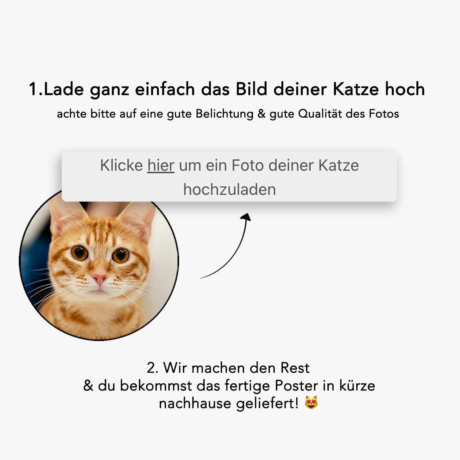 "KATZE MIT HANDTUCH" POSTER